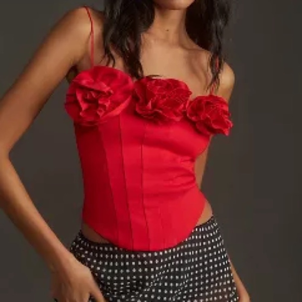 NWT Sunday In Brooklyn size medium floral corset top